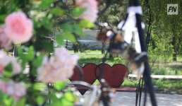 Молодые семьи Павлодарской области проконсультирует психолог