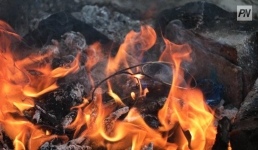 В Баянаульском районе локализовали степной пожар