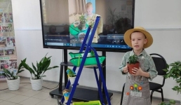 Павлодарские дети вырастили цветы с любовью