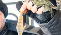 В Павлодарской области ввели временный запрет для рыбаков