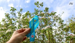 Павлодарцы расскажут о дедах-героях