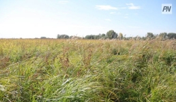 В Экибастузе тормозили инвестпроекты на сотни миллионов тенге