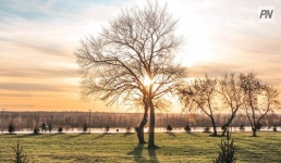 По-летнему тепло будет в Павлодарской области 12 апреля