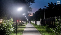 За какой нрав павлодарцы невзлюбили мошку