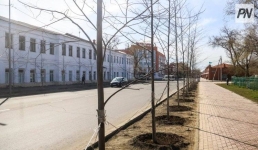 Какие научные подходы применяют в озеленении Павлодара.