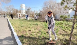 Павлодарские медики вышли на субботник