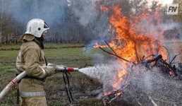Огонь объял павлодарские дачи