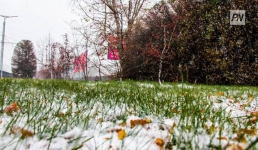 Дождь со снегом ожидают в Павлодарской области 15 апреля