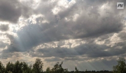 Дождь со снегом возможен 19 апреля в Павлодарской области