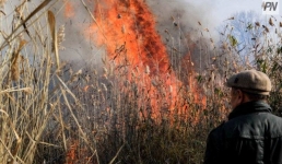 В Павлодаре горела сухая трава