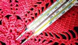 Признаки лихорадки заметили у павлодарцев после укусов клещей