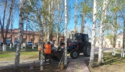 «Таза Қазақстан»: как Павлодар готовится к весне