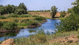 Несколько десятков вылетов для обработки от гнуса совершено в Павлодарской области