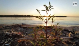Жаркая погода ожидает павлодарцев на майские праздники