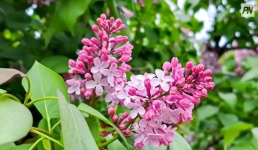 Чего ждать от небесной канцелярии в День защитника Отечества в Павлодаре