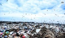 В Павлодарской области ужесточили наказание за мусор