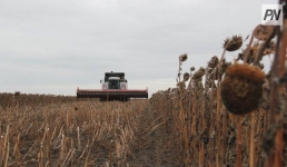 Павлодарские аграрии получили льготное финансирование на весенне-полевые работы