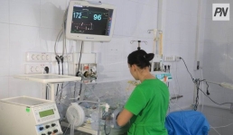 Кому отдадут предпочтение при распределении квот на ЭКО в Павлодарской области