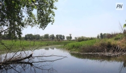 Какие воды пополнят павлодарский Иртыш