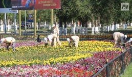 Павлодарские школьники на каникулах займутся озеленением