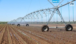 В Железинском районе более половины полей засеют зерновыми