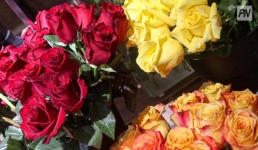 В Павлодаре организуют цветочную ночь