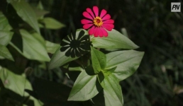 Павлодарцам предложили обменяться книгами и растениями