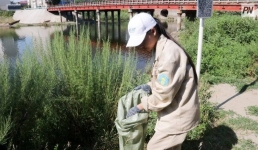 Более тысячи заявок поступило от желающих вступить в «Жасыл ел» павлодарцев