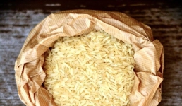 Неудачная шутка привела к отставке главы минсельхоза Японии