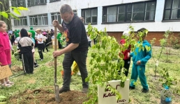 В Павлодаре дети с родителями озеленили школьный двор