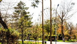 27 мая в Павлодарской области будет по-прежнему холодно