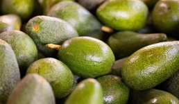 В Таиланде пресекли попытку нелегального ввоза партии авокадо