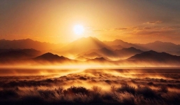 Сайгаки массово перешли Майский район