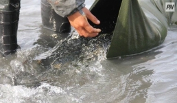 На «крючок» полицейских попались 12 рыбаков из Аксу