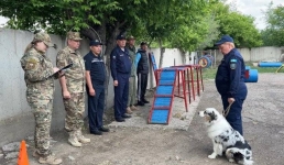 В Экибастузе испытали четвероногих спасателей