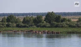 В последний день мая в Павлодарской области потеплеет