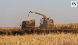 Аграрии Теренколя опробуют богатую белком культуру