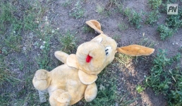 В Павлодаре погиб особенный ребёнок