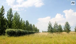 Эко-йога и квест: павлодарцев пригласили на «зелёный» выходной