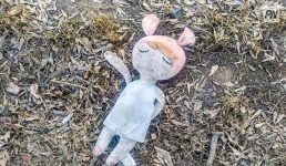 Из окна баянаульского Дома отдыха выпал ребёнок