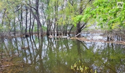 В Павлодарской области заполнили водой лиманы