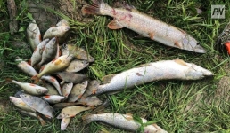 Сети под замком: как в Павлодарской области боролись с браконьерством