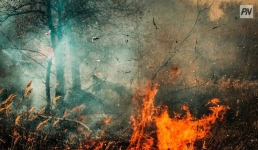 Павлодарские огнеборцы потушили дачу