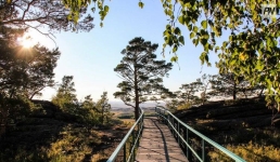 Современные пляжи и visit-центр: каким будет новый облик баянаульского туризма