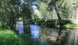 Павлодарка с ребёнком пыталась переночевать на берегу реки