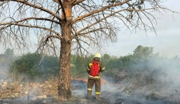 В Павлодаре горели заброшенные дачные участки