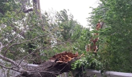 Куда обратиться пострадавшим от урагана в Павлодарской области