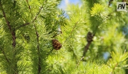 Щербактинские школьники сделали шаг к экологическому сознанию