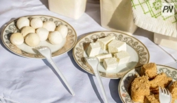 В Павлодаре организуют международный форум молочного бизнеса