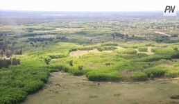 В Павлодарской области опробуют «пилот» по выдаче сельхозземель онлайн